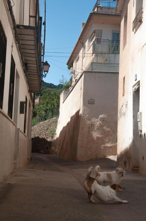 Pinos del Valle Casa Beatles Del Valle מראה חיצוני תמונה